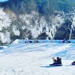 국민힐링파크 티켓 할인, 운영 시간, 후기 [2026년] | Trip.com