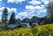 Huaduli Dujuanxiangshe Boutique Homestay(花都里杜鹃乡舍精品民宿) 후기 및 특가 예약 - 다팡 호텔 추천 | 트립닷컴