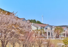 마우나오션 리조트 경주 호텔 후기, 예약 경주 호텔 추천 | 트립닷컴