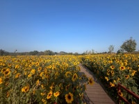 지산/직산 관광단지 티켓 할인, 운영 시간, 후기 [2025년] | Trip.com