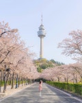 침산공원 티켓 할인, 운영 시간, 후기 [2026년] | Trip.com