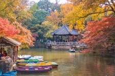 위산 공원 티켓 할인, 운영 시간, 후기 [2025년] | Trip.com