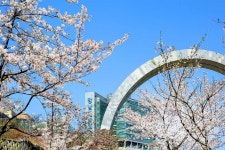 강남대학교 근처 호텔 BEST 10, 용인 숙소 | 트립닷컴