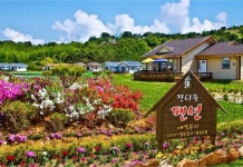 Janditteul Pension Hwaseong 후기 및 특가 예약, 화성 2026 | 트립닷컴