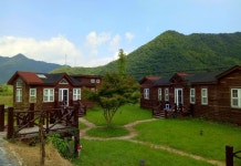 Sunflower Resort Hotel(石台向日葵度假酒店) 호텔 - 스타이 호텔 가격, 후기 2024 | 트립닷컴