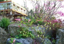 Caeun Pension 후기 및 특가 예약 - 남양주 호텔 추천 | 트립닷컴