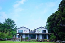 Jeju Nolmuung Pension 후기 및 특가 예약, 제주시 2026 | 트립닷컴