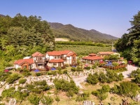 Bonghwa Pine Wind Bed and Breakfast 후기, 가격 2024 봉화 호텔 추천 | 트립닷컴
