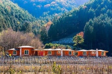 Jangseong Pyeonbaeksup Hwangto Pension 후기, 예약 및 특가 확인 - 장성군 호텔 추천 | 트립닷컴