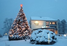 Brugger S Hotelpark am Titisee 호텔 - 티티제 호텔 가격, 후기 2024 | 트립닷컴