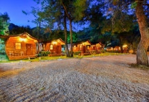 Green Pine Beach & Bungalows 호텔 - Oludeniz Mahallesi 호텔 가격, 후기 2024 | 트립닷컴
