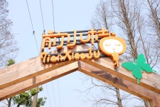 이전 리틀 오렌지 크리에이티브 농장 티켓 할인, 운영 시간, 후기 [2026년] | Trip.com