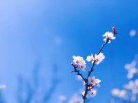 전시관 명소 - 누장 인기 명소 48개 - 트립닷컴 전시관  명소 - 누장 인기 명소 48개 - 트립닷컴