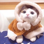 자연 섬/반도 명소 7번째 페이지 - 꼭 가봐야하는 허산 명소 81개 - 여행의 시작, 트립닷컴