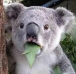 기난산 마을 - 징훙 여행 리뷰｜트립닷컴 트립 가이드