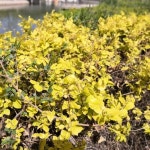 공원 식물원 명소 - 융닝 인기 명소 10개 - 트립닷컴