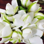 - 포산 여행 리뷰｜트립닷컴 트립 가이드  - 포산 여행 리뷰｜트립닷컴 트립 가이드