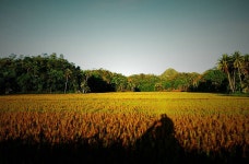 자연 호수 명소 - 장산 인기 명소 216개 - 트립닷컴