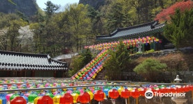 금오산도립공원 티켓 할인, 운영 시간, 후기 [2026년] | Trip.com