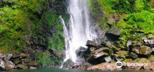 우사 시 자유여행 가이드 2026년: 인기 명소, 맛집, 여행 코스 총정리 | 트립닷컴 | 2026년 4월