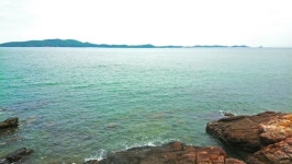 Coral Reef Coasts Sea with 스톡 동영상 비디오(100% 로열티 프리) 1010789597 | Shutterstock