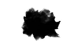 Dripping Ink On White Background 스톡 동영상 비디오(100% 로열티 프리) 1011214289 | Shutterstock