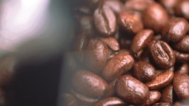 Grinding Coffee Beans Shot Through 스톡 동영상 비디오(100% 로열티 프리) 1012891106 | Shutterstock