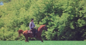 Rides the Horse Gallop, then 스톡 동영상 비디오(100% 로열티 프리) 1013218724 | Shutterstock