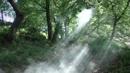 Comunque: video stock - Clip video 4K e HD | Shutterstock