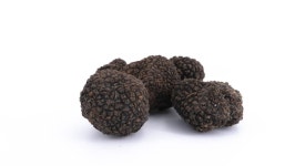 Black Truffles Isolated On White 스톡 동영상 비디오(100% 로열티 프리) 1014337475 | Shutterstock