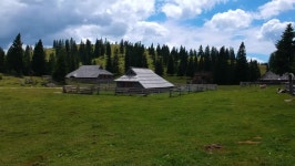 Menina digital assets for download | Creative Market