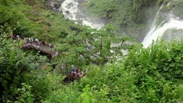 Guazu Falls, - January 26: 스톡 동영상 비디오(100% 로열티 프리) 1015697104 | Shutterstock