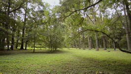 Empty Park By Summer, Pan 스톡 동영상 비디오(100% 로열티 프리) 1016653510 | Shutterstock