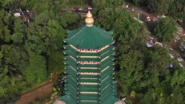 Sui bierman park digital assets for download | Creative Market