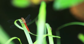 Seki-ward, Gifu Japan - 08.07.2018 스톡 동영상 비디오(100% 로열티 프리) 1016980630 | Shutterstock