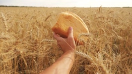 Man Holds a Bread in 스톡 동영상 비디오(100% 로열티 프리) 1020344245 | Shutterstock