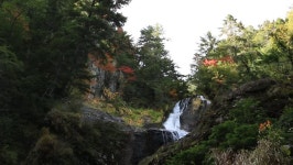 Early Summer Waterfall 스톡 동영상 비디오(100% 로열티 프리) 1021607674 | Shutterstock
