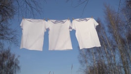T-shirts Hanging On the Clothesline 스톡 동영상 비디오(100% 로열티 프리) 1023079336 | Shutterstock