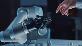 Claws Stock Video Footage - 4K and HD Video Clips | Shutterstock