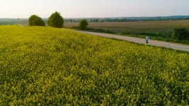 A Young Woman Walks with 스톡 동영상 비디오(100% 로열티 프리) 1030383527 | Shutterstock