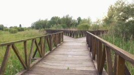 The Route with Two Pathways 스톡 동영상 비디오(100% 로열티 프리) 1030553678 | Shutterstock