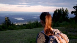 Seymour digital assets for download | Creative Market