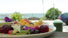 Wide View of Food Plate 스톡 동영상 비디오(100% 로열티 프리) 1032059819 | Shutterstock