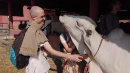 Visiting in Vaishnava Hare Krishna 스톡 동영상 비디오(100% 로열티 프리) 1032471491 | Shutterstock