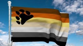 International Bear Brotherhood Flag - 스톡 동영상 비디오(100% 로열티 프리) 1032999200 | Shutterstock