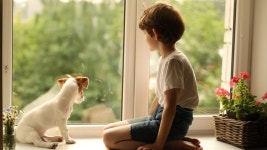 Cute Child Playing with His 스톡 동영상 비디오(100% 로열티 프리) 1033662080 | Shutterstock