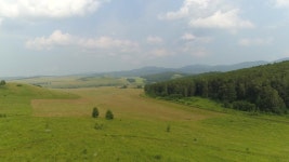 Aerial View On Summer Landscape 스톡 동영상 비디오(100% 로열티 프리) 1033819343 | Shutterstock