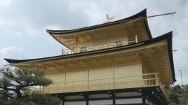 Kyoto, Japan - 03 01 스톡 동영상 비디오(100% 로열티 프리) 1034080799 | Shutterstock