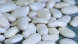 White Bean Lies On a 스톡 동영상 비디오(100% 로열티 프리) 1035176501 | Shutterstock