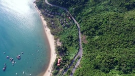 Life rong digital assets for download | Creative Market